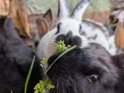 500486678_4201331460189588_2275628180685529658_n