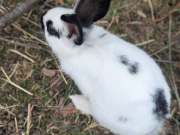 500618994_4201331546856246_3330496771781636865_n