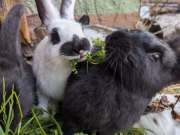 500689552_4201331316856269_5195412993155491339_n