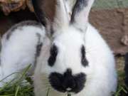 500708867_4201331130189621_7781703083866221822_n