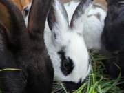 501018514_4201331216856279_8977809438187453909_n