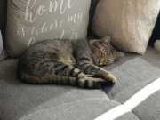 546404577_10162661324418371_1789389036357802914_n