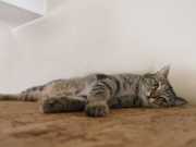 547554246_10162661322723371_7128412006940496870_n