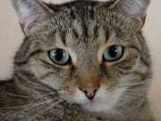 547786073_10162661320568371_3747934723183592796_n