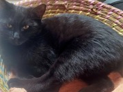 632350378_3604819579656238_6768256276758366788_n