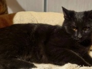 633158801_3604819716322891_8515978335381824807_n