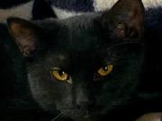 633283937_3604819346322928_8199923074129557585_n