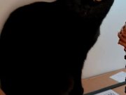 633341373_3604819496322913_3371285200425385286_n