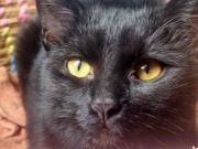 633689722_3604819779656218_1362829472714148735_n