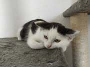 496932392_31273210912277634_6596660386913417669_n