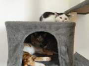 504266643_31290971073834951_474288046824011235_n