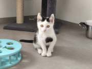 515436559_31781585944773459_1421980664726039679_n