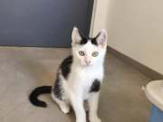 524916182_31781580484774005_2956287351982501587_n