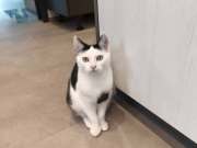 561161163_33089977460600961_8323633579749179355_n