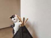 562379633_33132814799650560_845756465126954611_n