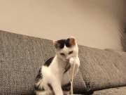 562949019_33089977963934244_2571015230569054669_n