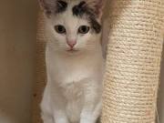 676737518_10217590207385095_6665003668784456858_n