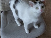 676863552_26801657496117924_7413461500074440523_n