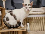 676887902_10217590207905108_3534404579490546310_n