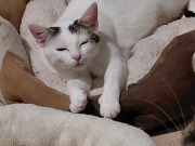 677775728_26801652839451723_8692024311044107810_n