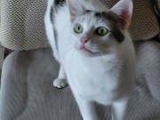 677912854_26801652846118389_3628516676194387451_n