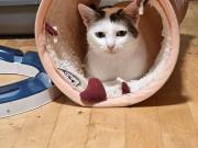 677973039_10217590209425146_4278836219518050845_n