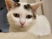 678236819_10217590209025136_757822937301739670_n