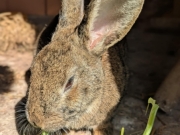 64c56aa7-5550-4d16-9b5c-c2a7c88c608d