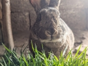 b1b74a82-ecca-4c42-9813-d72d457485a0