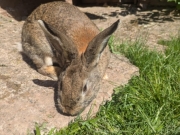 cd612b5a-1ee5-4919-855b-f9e4cb438f43