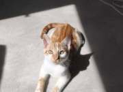 518422665_31781579624774091_3901623919731214375_n