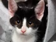 518125917_24557600697181389_3035442766855424521_n