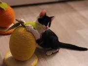 518333073_24557600403848085_5629165518216925650_n