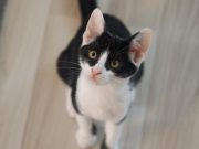 518390758_10235160293326082_7994006934332443678_n