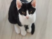 518391012_10235160293726092_3586902683359628680_n