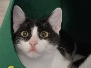 588901899_25739962502278530_6209507749199055365_n