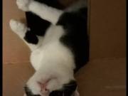 589559648_25739958562278924_2675890277010926524_n