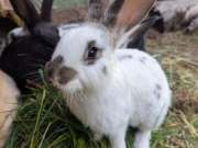 500354751_4201325430190191_4516333073555630322_n