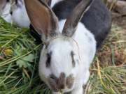 500533648_4201325326856868_462739401524810270_n