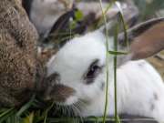 500708912_4201325630190171_3108544826919952340_n