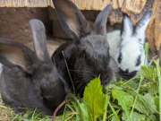 500706373_4201333826856018_2286302270742378080_n