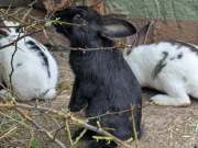 500722627_4201333386856062_8033908626656643672_n