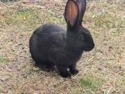 500789703_4201333340189400_2572991018753581992_n