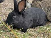 501251070_4201333253522742_5837219385009766008_n