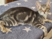 539966577_3429995770471954_9116763273801920787_n