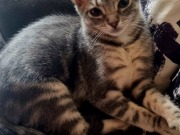 540270517_3429995080472023_3027279110959936545_n