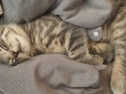 540695010_3429995297138668_6131189096613710860_n