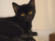 517509479_10235160293286081_1904001058912077245_n