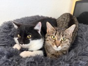 613193282_10163158044958371_6597317694755777229_n