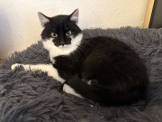 614252085_10163158047638371_5952200586116231995_n